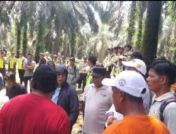 Sengketa Lahan di Kuansing, PT Wanasari Klaim Operasional Sah di Atas HGU, Bantah Tudingan Perusakan