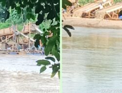 Sungai Kuantan “Sekarat” Rakit PETI Kembali Menjamur di Pulau Busuk, Polisi Diminta Bertindak Tegas