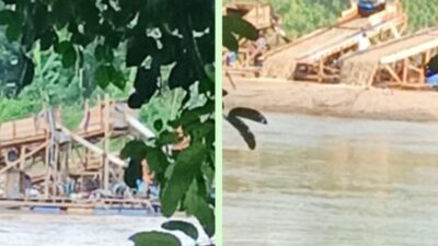 PETI di Desa Pulau Busuk Kian Menjamur, Ganggu Ketenangan Belajar Siswa SMA