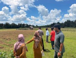 Kapolsek Cerenti Cek Lahan 6 Hektare untuk Dukung Ketahanan Pangan Nasional