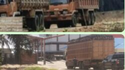 PT SAM Diduga Tampung Sawit Ilegal dari Kawasan Lindung TNTN, Pengawasan Pemkab Kuansing Dipertanyakan