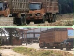 PT SAM Diduga Tampung Sawit Ilegal dari Kawasan Lindung TNTN, Pengawasan Pemkab Kuansing Dipertanyakan