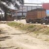 PT SAM Diduga "Cuci" Sawit Ilegal dari TNTN, Nyali Pemkab Kuansing Dipertanyakan