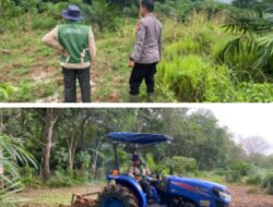 Kapolri Targetkan Swasembada Pangan 2026, Kapolsek Cek Lahan Jagung Milik Polsek Kuantan Hilir