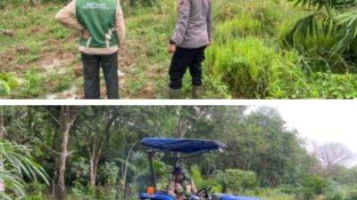 Kapolri Targetkan Swasembada Pangan 2026, Kapolsek Cek Lahan Jagung Milik Polsek Kuantan Hilir