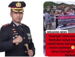 Diduga Kapolres Padang Sidempuan Serta Kasat Narkoba “Tidak Berani Tangkap Bandar Narkoba” Ada Apa Dengan Penegak Hukum