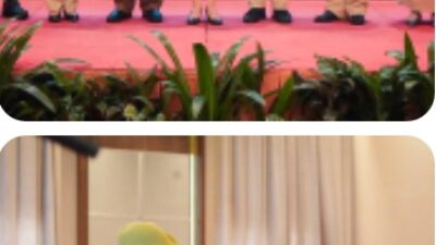 FKPPI dan PPM Bersatu! Suhardiman Amby Nahkodai PPM Riau, Kekuatan Putra-Putri Pejuang dan Militer Makin Solid