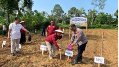 Dukung Asta Cita Presiden, Polsek Kuantan Hilir Gelar Penanaman Serentak Bibit Jagung Pipil