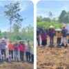 Asta Cita Presiden RI, Polsek dan Forkopimcam Kuantan Hilir Tanam Jagung Pipil Asta Cita Presiden RI, Polsek dan Forkopimcam Kuantan Hilir Tanam Jagung Pipil