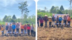 Asta Cita Presiden RI, Polsek dan Forkopimcam Kuantan Hilir Tanam Jagung Pipil