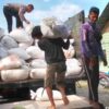 Sinergi Polsek Singingi Hilir dan Petani,  Kawal Distribusi 2 Ton Jagung Pipil ke Bulog