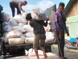 Sinergi Polsek Singingi Hilir dan Petani,  Kawal Distribusi 2 Ton Jagung Pipil ke Bulog