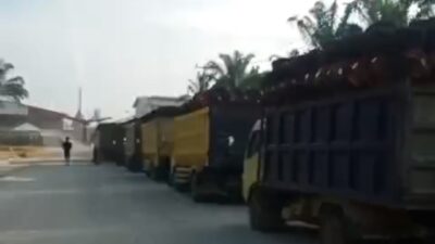 Dugaan Kebocoran Sawit Ilegal dari TNTN ke Pabrik PT SAM Mencuat, Pemerintah Didesak Lakukan Sidak