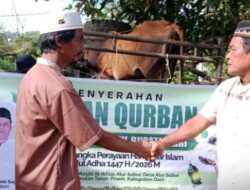 Bupati dan Wakil Bupati Dairi Serahkan Hewan Kurban untuk Jemaah Masjid Al-Ikhlas Alur Subur