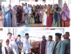 Rayakan Idul Adha 1447 H, Wakil Bupati Dairi Serahkan Bantuan Sapi Dari Presiden Prabowo Subianto Di Masjid Istiqomah Desa Gunung Sitember