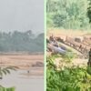 Aktivitas PETI Menjamur di Pulau Jambu Cerenti, Warga Desak Kapolda Riau Turun Tangan Aktivitas PETI Menjamur di Pulau Jambu Cerenti, Warga Desak Kapolda Riau Turun Tangan
