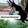 Perambahan Hutan di Pulau Padang Meranti belum Berhenti, Kegiatan Diduga Didukung Cukong Asal Malaysia