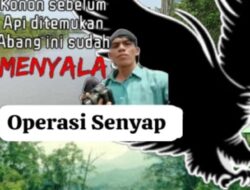 Perambahan Hutan di Pulau Padang Meranti belum Berhenti, Kegiatan Diduga Didukung Cukong Asal Malaysia