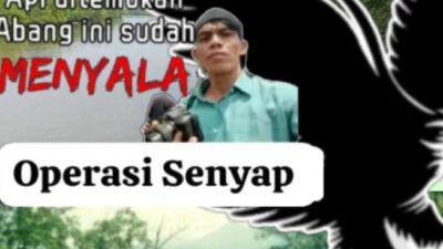 Perambahan Hutan di Pulau Padang Meranti belum Berhenti, Kegiatan Diduga Didukung Cukong Asal Malaysia