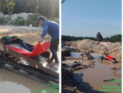 PETI Mengganas di Marsawa: Alam Porak-Poranda, Siapa di Balik Layar