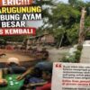 Buka Lagi Pasca tertib, Arena Sabung Ayam dan Dadu di Warugunung Resah kan Warga