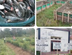 Tanpa Papan Informasi & Bukti Kegiatan, Dana Ketapang Kuta Gugung Diduga Dimainkan, APH Diminta Usut TuntasDana Ketapang Rp98 Juta Kuta Gugung Diduga Dikorupsi, Pengawasan PMD Dairi Dipertanyakan