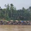 Di Tengah Kemeriahan Pacu Jalur, Aktivitas Tambang Emas Ilegal Marak di Aliran Sungai Kuantan Cerenti