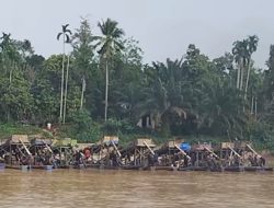 Di Tengah Kemeriahan Pacu Jalur, Aktivitas Tambang Emas Ilegal Marak di Aliran Sungai Kuantan Cerenti