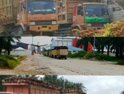 Dugaan Rantai Pasok TBS Ilegal TNTN Mengalir ke PT SAM, APH Didesak Turun Tangan