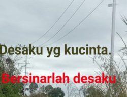 Jejak Mulia Lamhot Sinaga, Vander Sinaga Lanjutkan Langkah Cahaya: 2,5 KM Tiang Listrik Terangi Dusun IV Parbuluan V