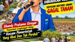 Dibiarkan Rusak Bertahun-tahun, Irigasi LK I Pasar Gunung Tua Diperbaiki Petani Pakai Dana Swadaya