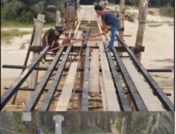 Tomo, Petani Sawit, Bangun dan Renovasi Jembatan di Kebun, Warga Tak Perlu Lagi Menempuh Jalan Jauh