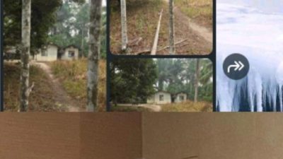 Aktivis Desak Dirkrimsus Polda Riau Turun Tangan Tindak Dugaan Lokasi Pemurnian Emas Ilegal di Kuansing