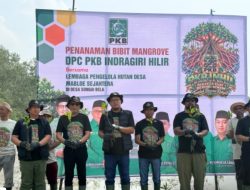 Mafirion Tegaskan Pentingnya Pelestarian Hutan Mangrove di Indragiri Hilir